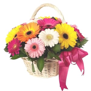 15 Mixed Gerbera Round Handle Basket With  Free Personalised Message Card For Mother's Day Gift For Mom