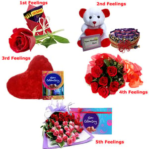 Five Days Love And Emotions Gift Hampers Set of 1 For Mother's Day dairy Milk Chocolate ,Teddy bear , Cushin , flowers Gift Hampers Gift For Mom
