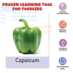 VEGETABLES Flash Cards for Kids (32 Cards) Fun Learning Toy for 2-6 years