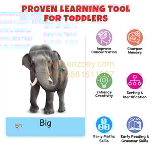 Big Flash Cards for Kids (All-in-One Bundle of 9) - 288 Learning Cards