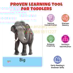 Big Flashcards for Kids (Set of 3): Transport, Opposite & Sight Words - 96 Cards