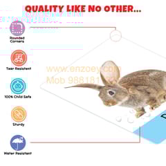 Big Flash Cards for Kids (Set of 2): Shapes, Colours and Animals - 64 Cards
