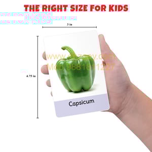 My First Flash Cards for Kids (Set of 3): Fruits, Vegetable & Animal - 108 Cards