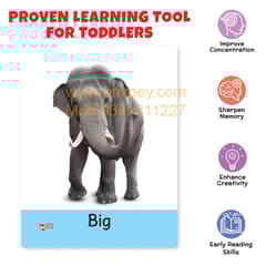 OPPOSITES Flash Cards for Kids (32 Cards) Fun Learning Toy for 2-6 years
