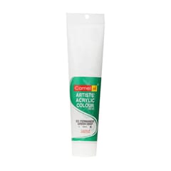 ARTISTS ACRYLIC COLOUR 120 ML