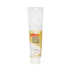 ARTISTS ACRYLIC COLOUR 120 ML