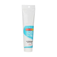 ARTISTS ACRYLIC COLOUR 120 ML