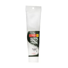 ARTISTS ACRYLIC COLOUR 120 ML