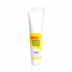 ARTISTS ACRYLIC COLOUR 120 ML