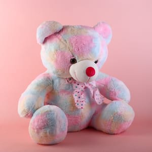 Rainbow Teddy Soft Toy 60cm Home Decor , Soft Toy For Kids , Birthday, Anniversary,Teddy