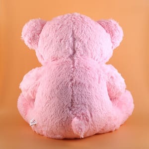 Beautiful Pink Teddy Bear with Pink Bow Soft Toy 40 cm Home Decor , Soft Toy For Kids , Birthday, Anniversary.