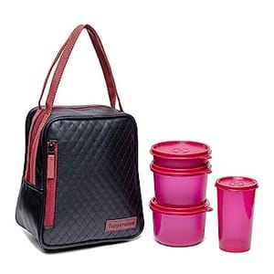Plastic Elegant Lunch Set for Women (Pink) Lunch Box Set For Back To Office Women Gift For Mother, Sister ,Wife ,Friends
