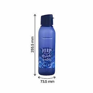Tupperware Cool n Chic Plastic Bottle, 750ml, Set of 2, Blue For Back To School Student