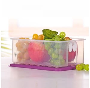 Tupperware FridgeSmart Medium, (1pc), Home Appliances