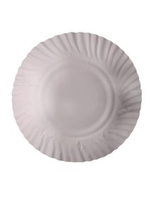 White Paper Plate , Disposable White Round Paper Plate ,5.5 inch ,(25 TO 30 pcs)