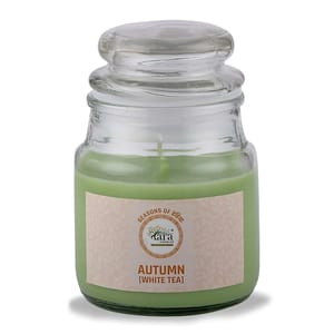 White Tea Fragrance Aroma Candle is an ideal present for various festivals such as Valentine's Day,Christmas,Diwali,Thanksgiving & Fregrance For Peaceful & Meditative Mood