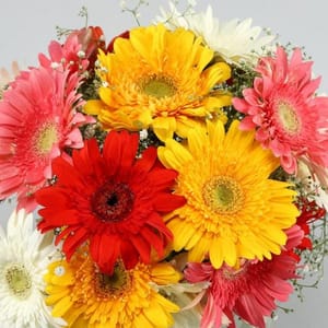 Classy Mix Of Gerberas By cThemeHouseParty