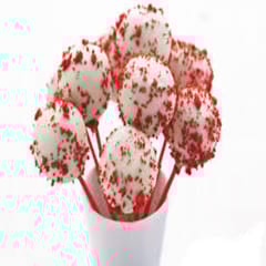 Red Velvet Cake Pops 9 (Pack of 6) for Kids,Birthday Party,Special Occassion,Party & Event