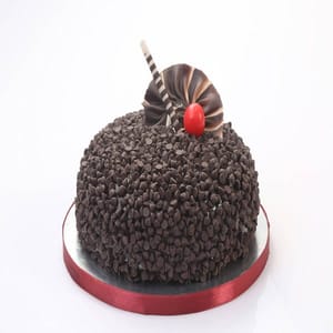 Premium chocolate chips cake For Any Occasion,Party & Events Celebration