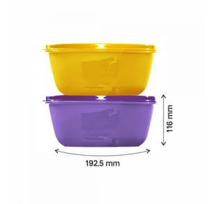 Tupperware SS Bowl 2Ltr, (Set Of 2), Home Appliances