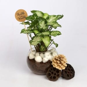 Flourishing Flower Bouquet For Birthday & Anniversary By Ring-A-Roses