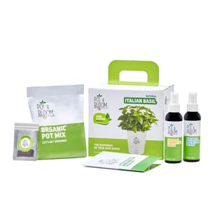 Italian Basil Kit By Pot & Bloom