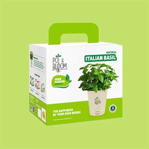 Italian Basil Kit By Pot & Bloom