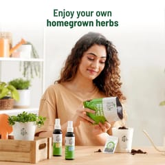 Oregano Kit By Pot & Bloom