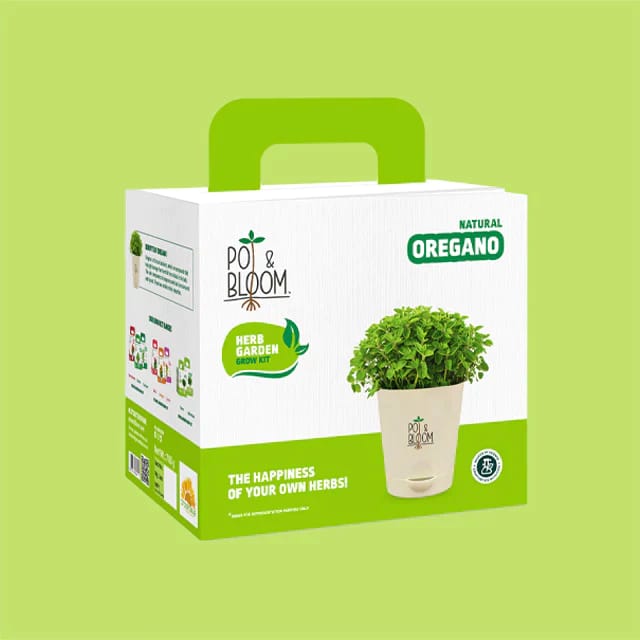 Oregano Kit By Pot & Bloom