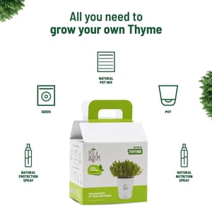 Thyme Kit By Pot & Bloom