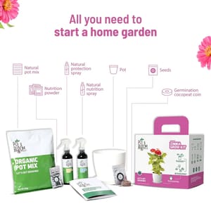 Zinnia Grow Kit By Pot & Bloom