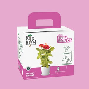 Zinnia Grow Kit By Pot & Bloom