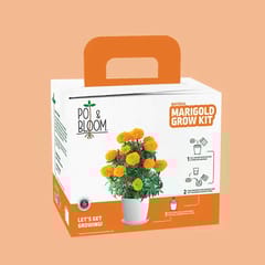 Marigold Grow Kit By Pot & Bloom