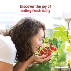 Cherry Tomato Grow Kit By Pot & Bloom