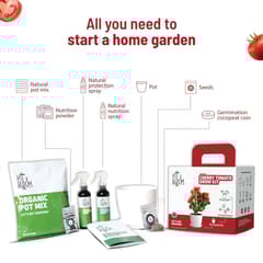 Cherry Tomato Grow Kit By Pot & Bloom