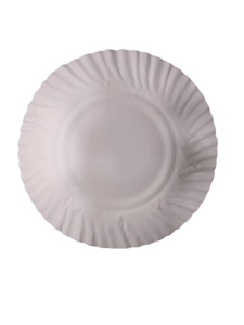 White Paper Plate , Disposable White Round Paper Plate ,6.5 inch ,(25 TO 30 pcs)