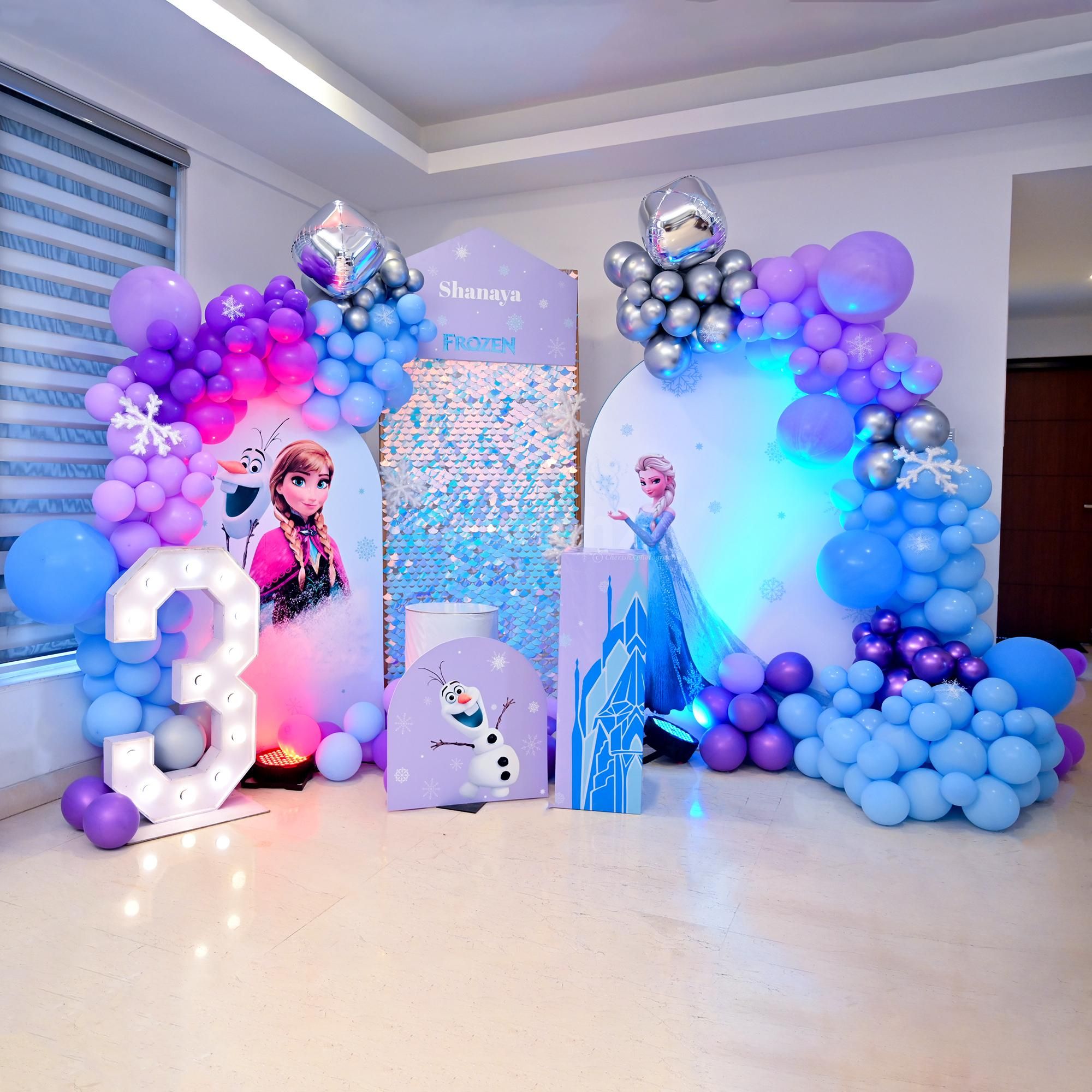 FROZEN THEME DECOR